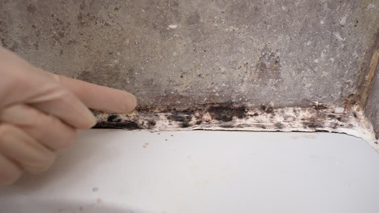 Forensic Mold Investigation in Miamisburg, OH